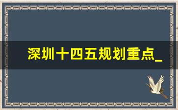 深圳十四五规划重点_深圳17个重点发展区域 进展